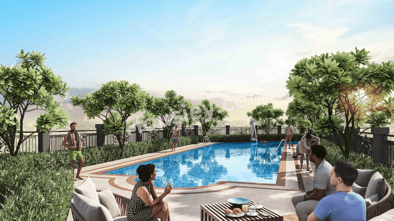 Project image 16