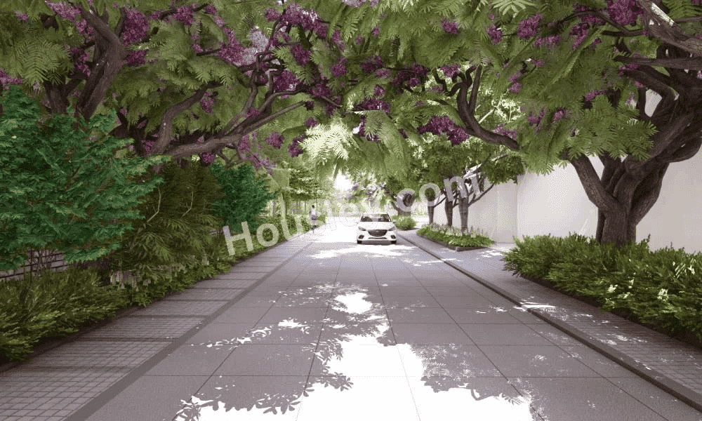 Project image 4