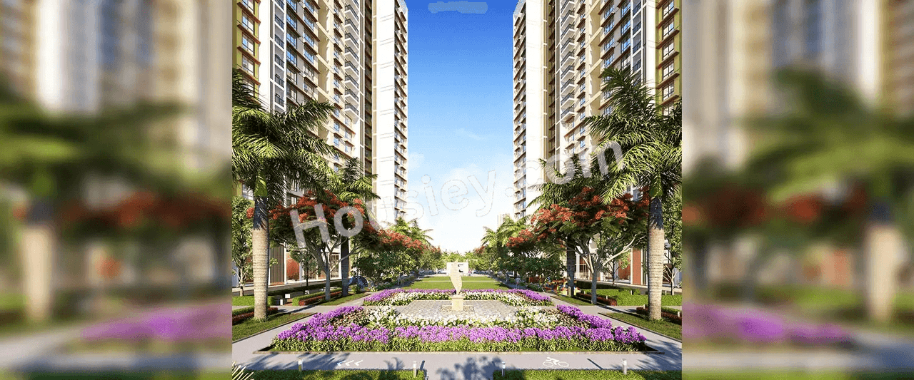 Project image 13