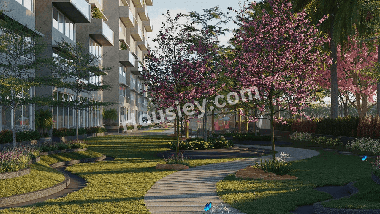 Project image 10