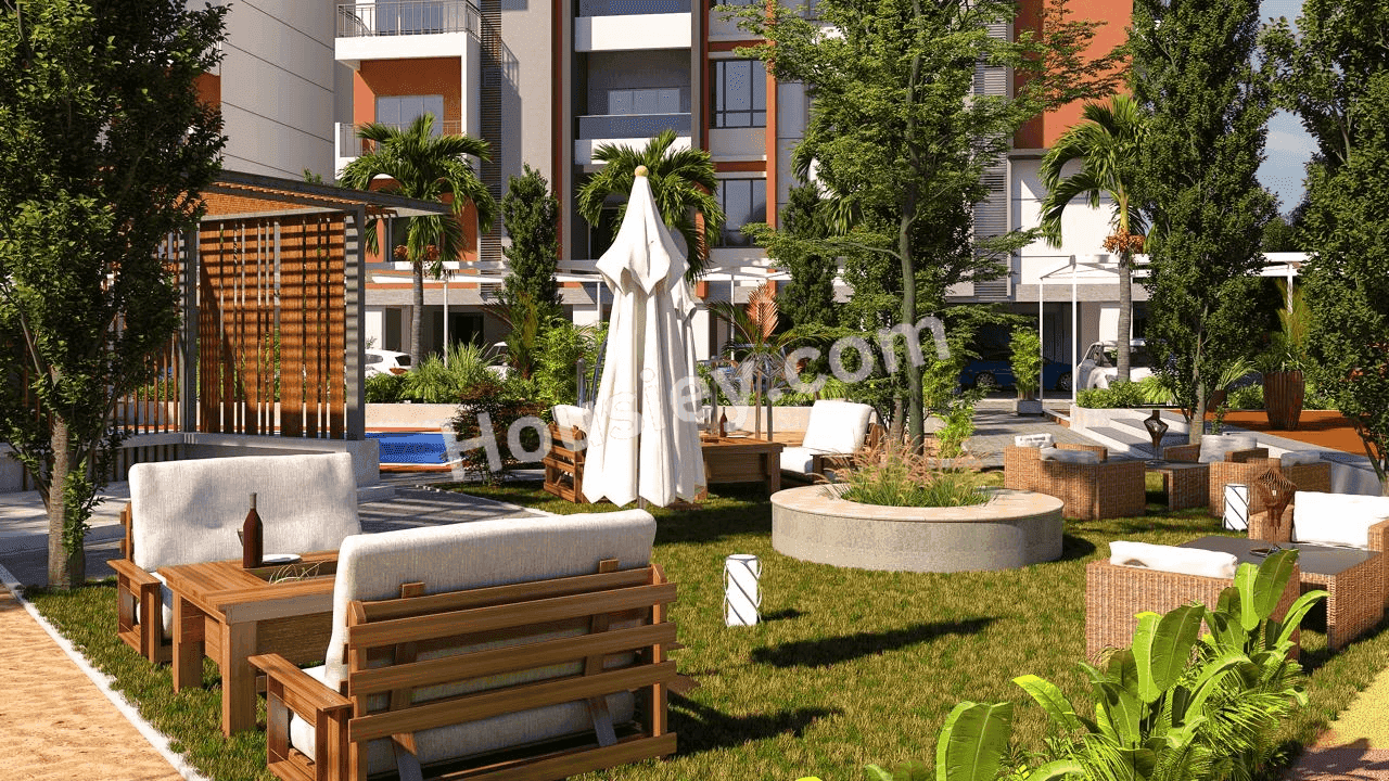 Project image 6
