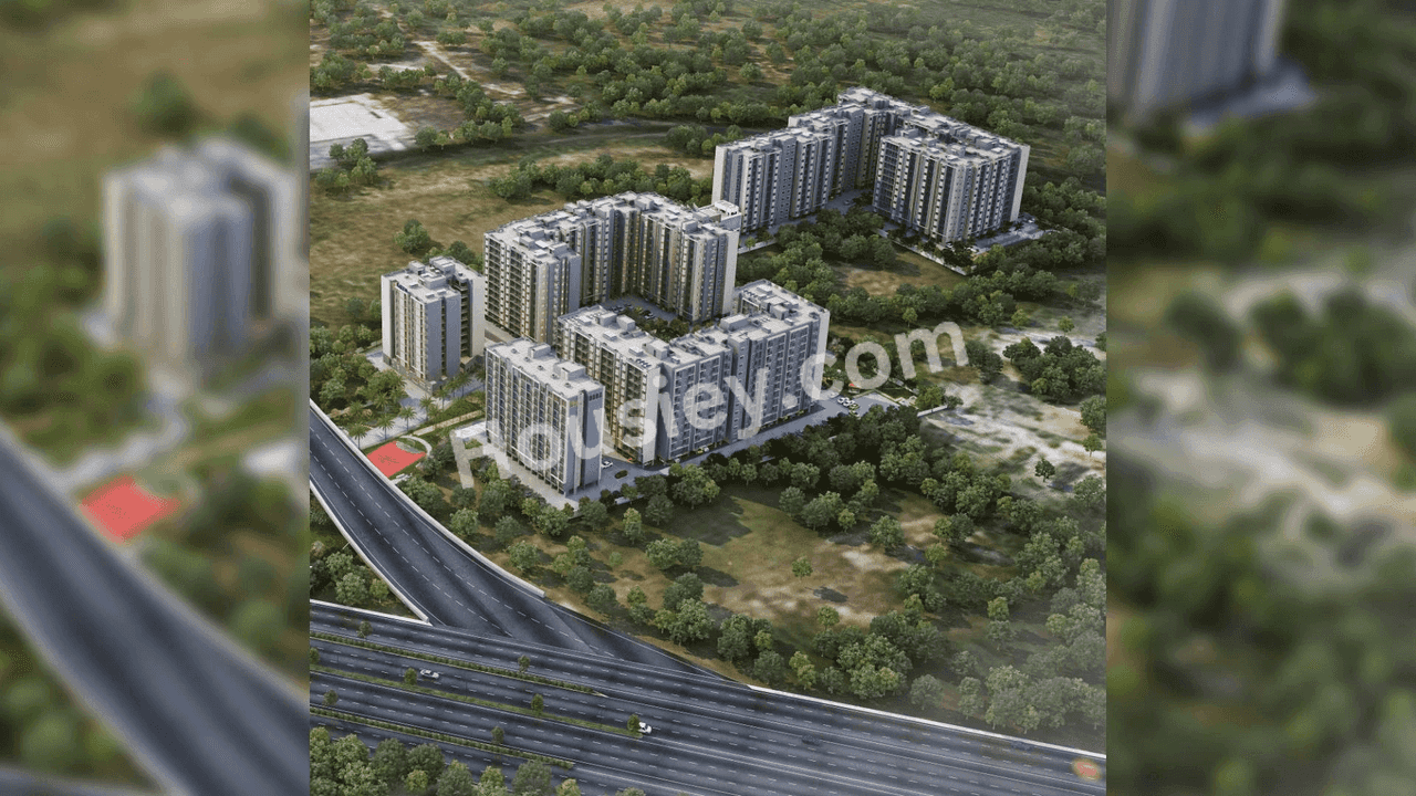 Project image 3