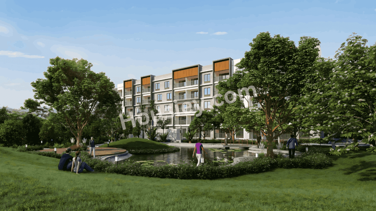 Project image 13