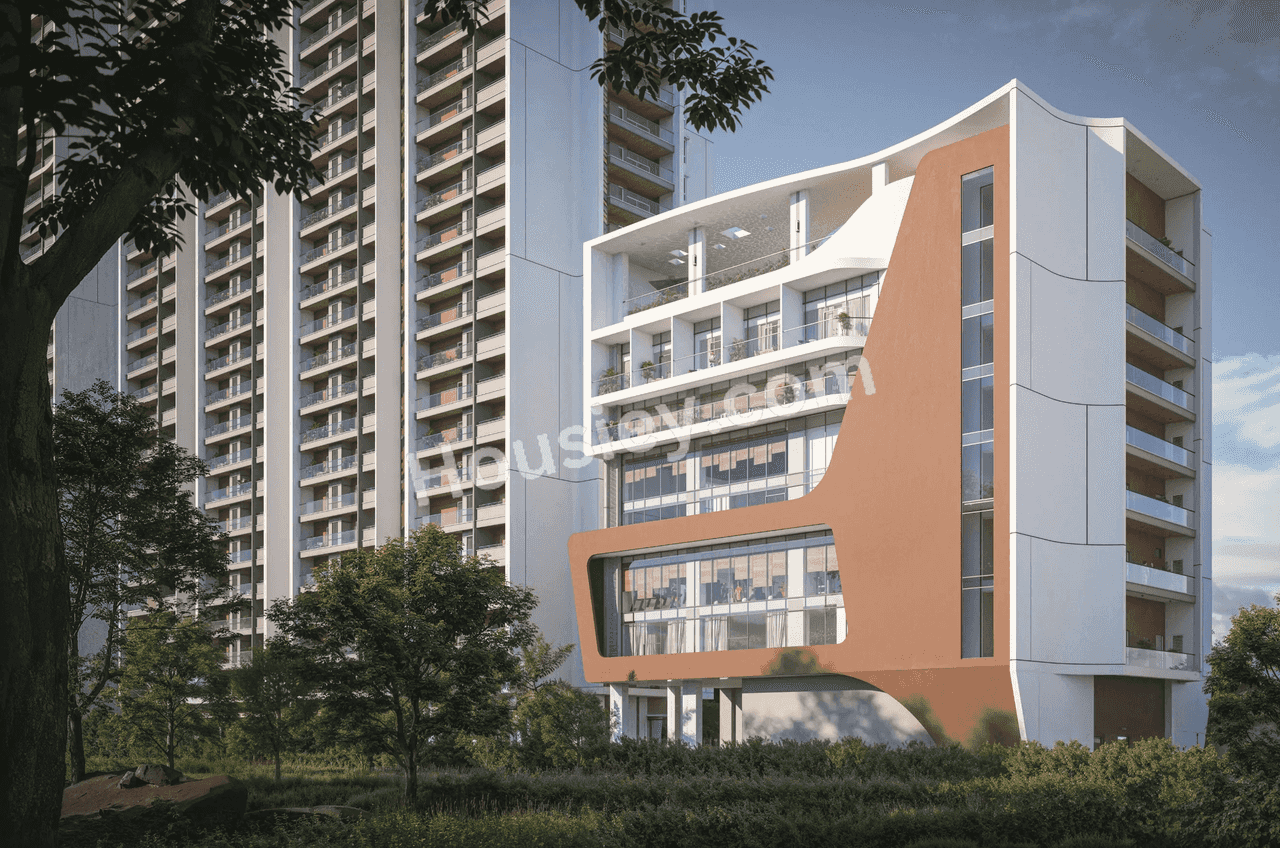 Project image 6