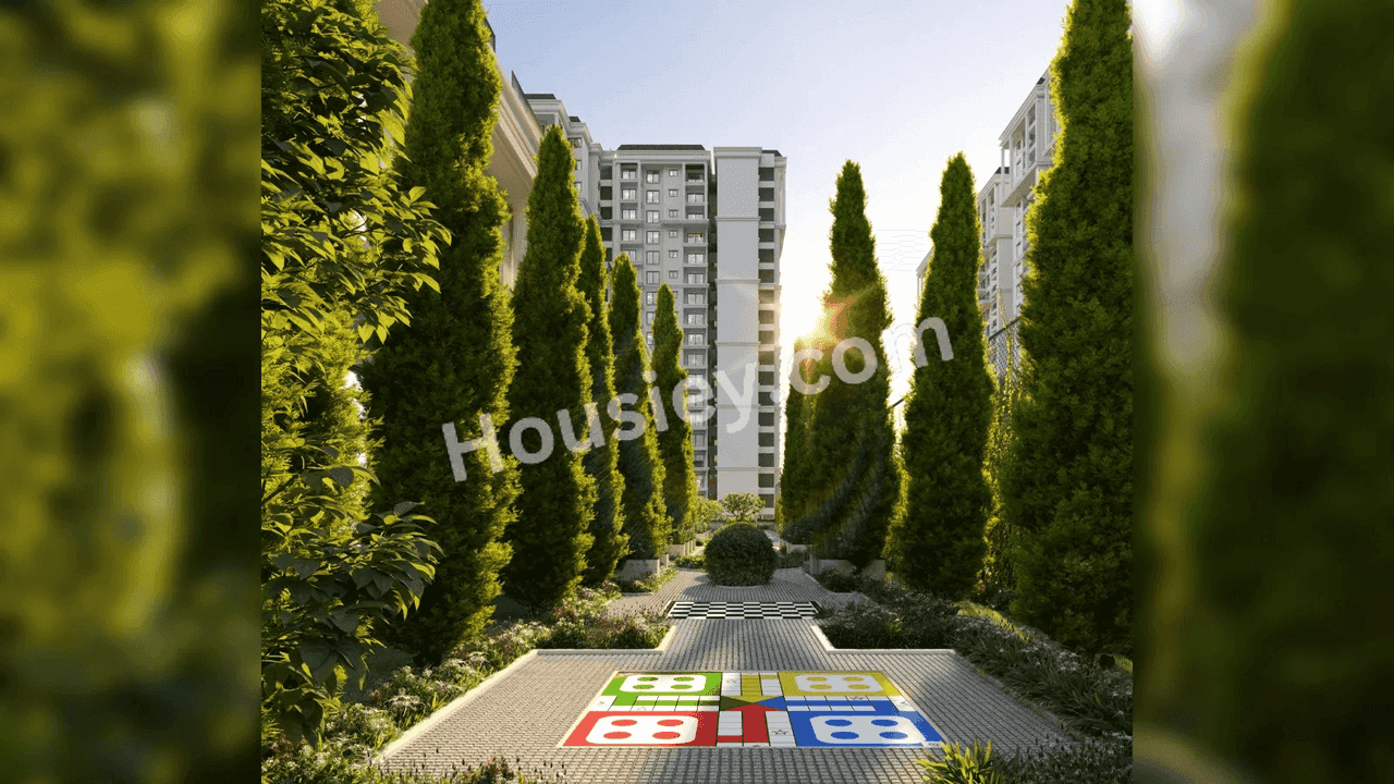 Project image 7