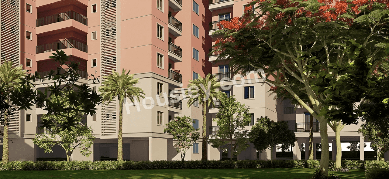 Project image 22