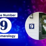 House Number 9 Numerology