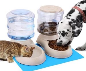 Emphasize Feeding and Water Bowls Directions