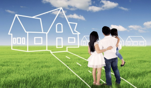 Why to Invest in Plots