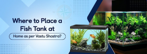 Aquarium in Your House According to Vastu Shastra