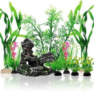 Should the Aquarium Have Any Decorative Items or Plants