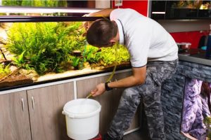 Cleanliness in Aquarium as per Vastu