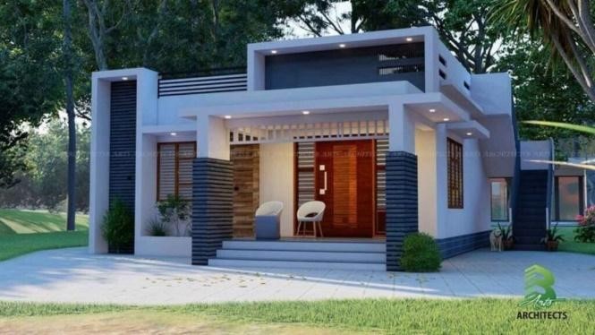 Modern Tropical