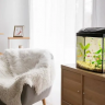 Fish Aquarium Placement as per Vastu in 2025 - Housiey
