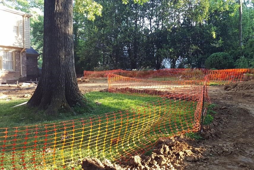 Can Trees Be Planted During Construction?