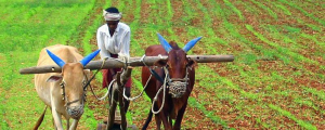 Can We Build a Farm House on Agricultural Land in Maharashtra 1. Can We Build a Farm House on Agricultural Land in Maharashtra