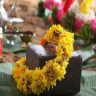 What Are the Most Important Vastu Tips to Follow After Bhoomi Puja?