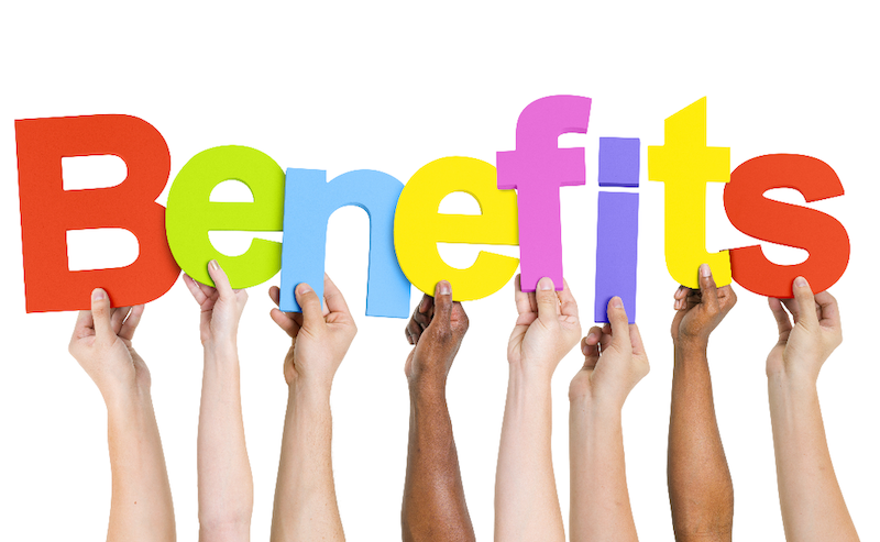 What are the Benefits of Public-Private Partnership in EWS Housing Projects?