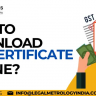 How to Download GST Certificate in 2025: A Complete Step-by-Step Guide
