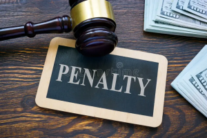 What Happens If You Don’t Pay MCGM Property Tax on Time? What Happens If You Don’t Pay MCGM Property Tax on Time?