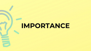 What Is the Delhi – Jaipur Expressway and Why Is It Important?
