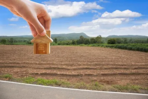 Why Should You Be Cautious Before Buying Agricultural Land for Construction?