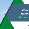 Why Everyone is Talking About VTP Monarque Hinjewadi