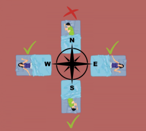 What About Head Direction While Sleeping? What About Head Direction While Sleeping?