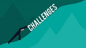 What Challenges Does the Project Face? What Challenges Does the Project Face?