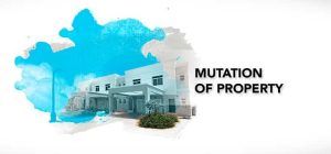 What Is Property Mutation and Why Does It Matter? What Is Property Mutation and Why Does It Matter?