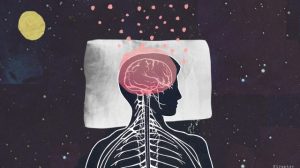 Which Direction to Sleep Scientifically? Which Direction to Sleep Scientifically?