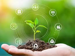 What Are the Environmental and Social Considerations in the Project