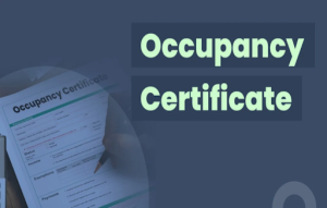 Check building occupation certificate