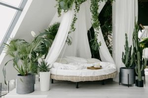 Bring Nature Indoors
