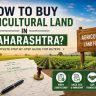 Buy Agricultural Land in Maharashtra